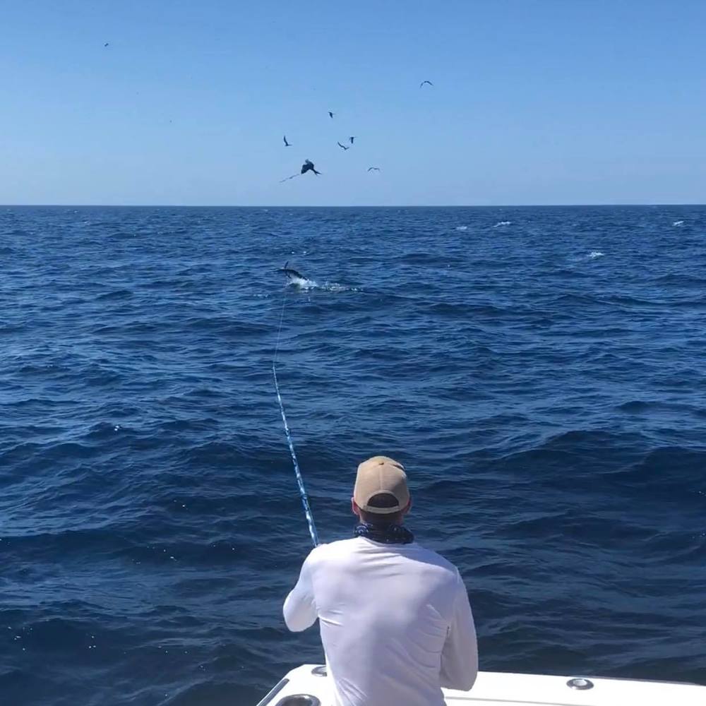 Meet your Posher, J.l.